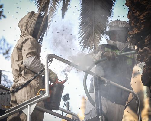 FotografoFoto Alcaldía de Medellín:209 animales en situación de emergencia han sido rescatados este año por el Cuerpo Oficial de Bomberos Medellín. 